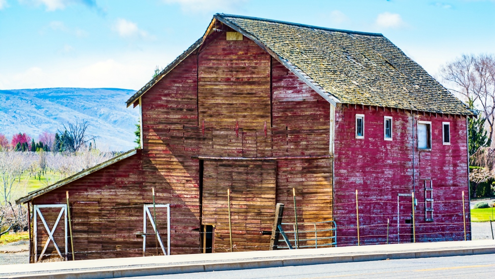 _DSC8012.jpg