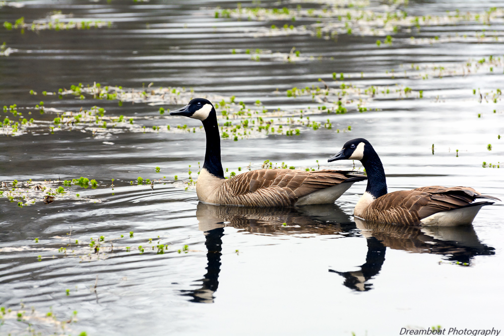 _DSC8013-Edit.jpg