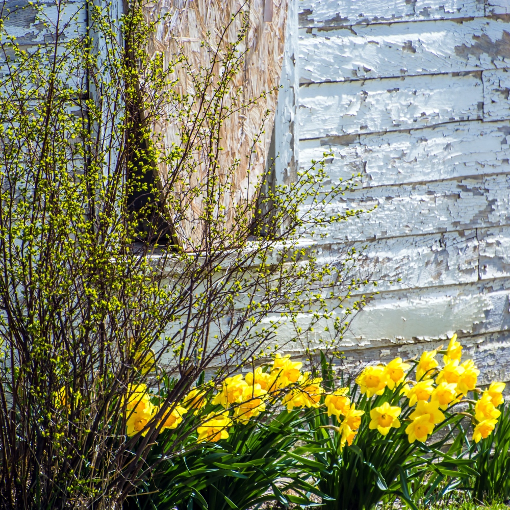_DSC8028.jpg