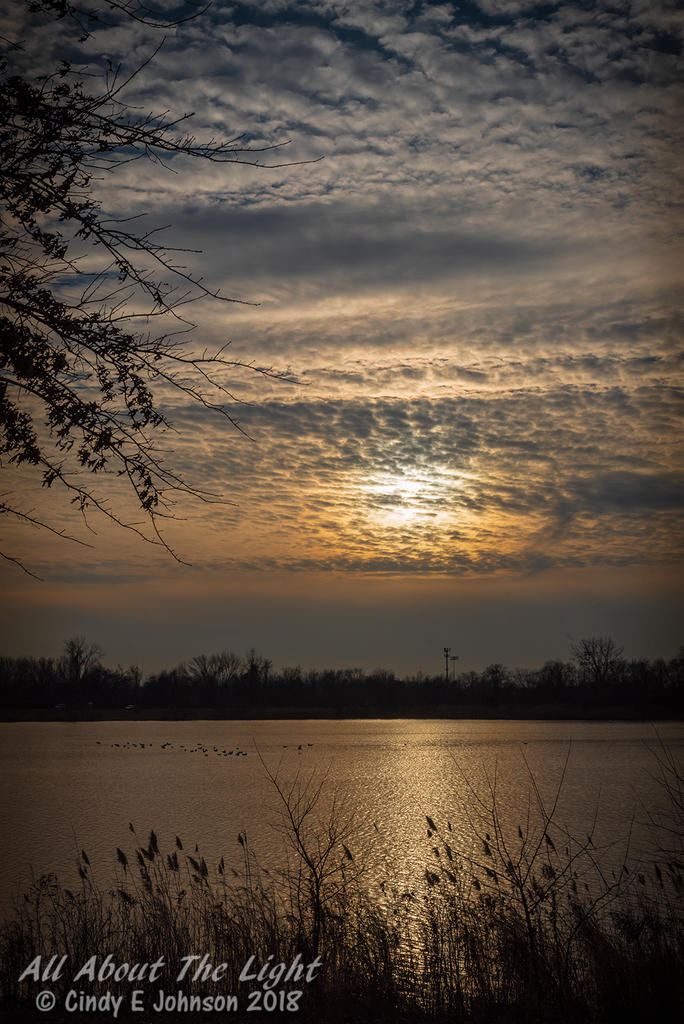_DSC8028 low res.jpg