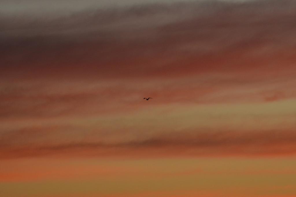 _DSC8029.jpg