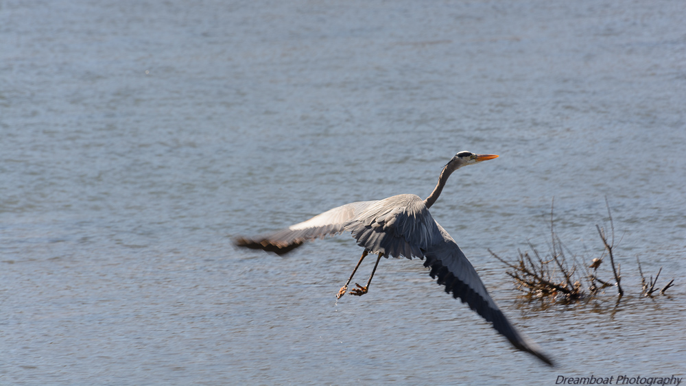 _DSC8127-Edit.jpg