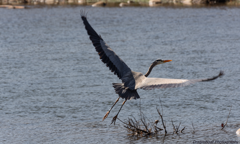 _DSC8128-Edit.jpg