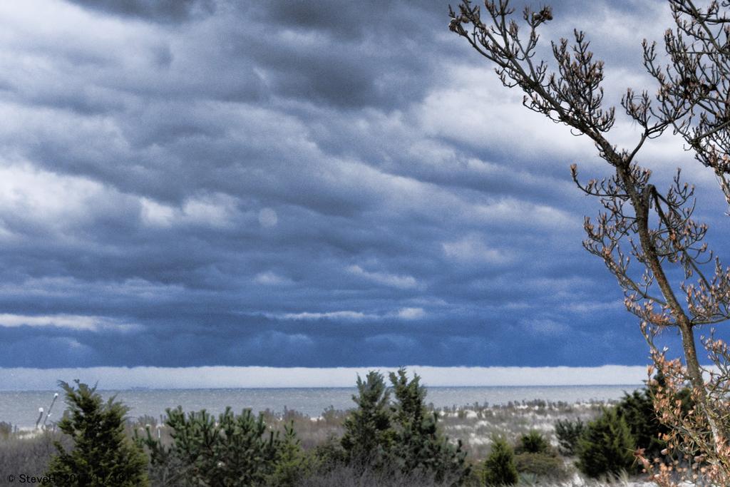 _DSC8133.jpg