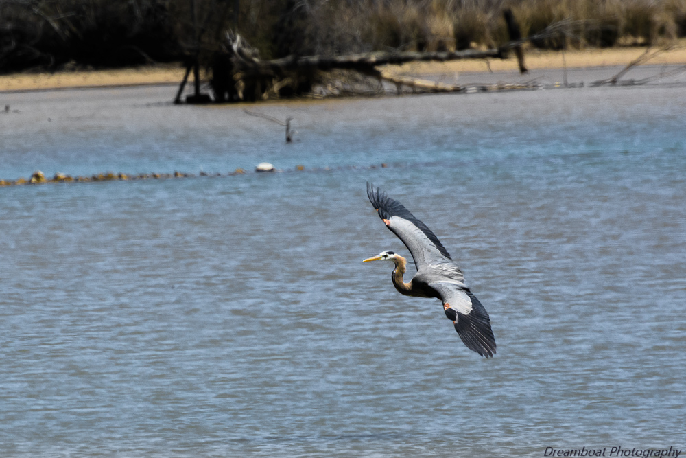 _DSC8162-Edit.jpg