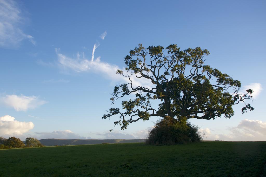 _DSC8222.jpg