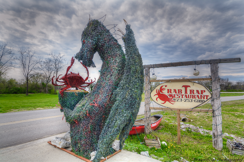 _DSC8263-Edit.jpg