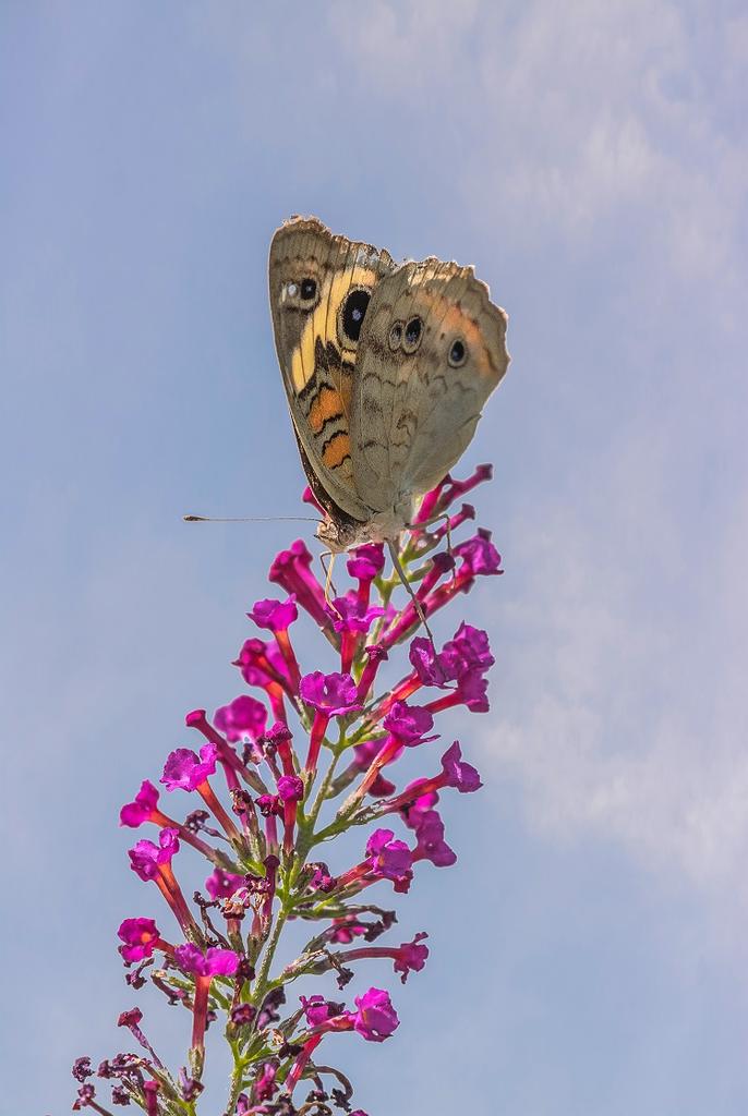 _DSC8278-Edit-2.jpg