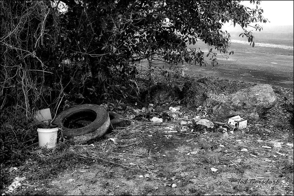 _DSC8341bw.jpg