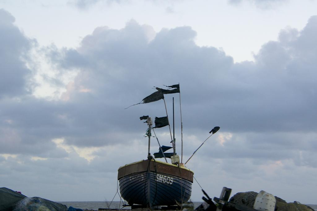 _DSC8377.jpg