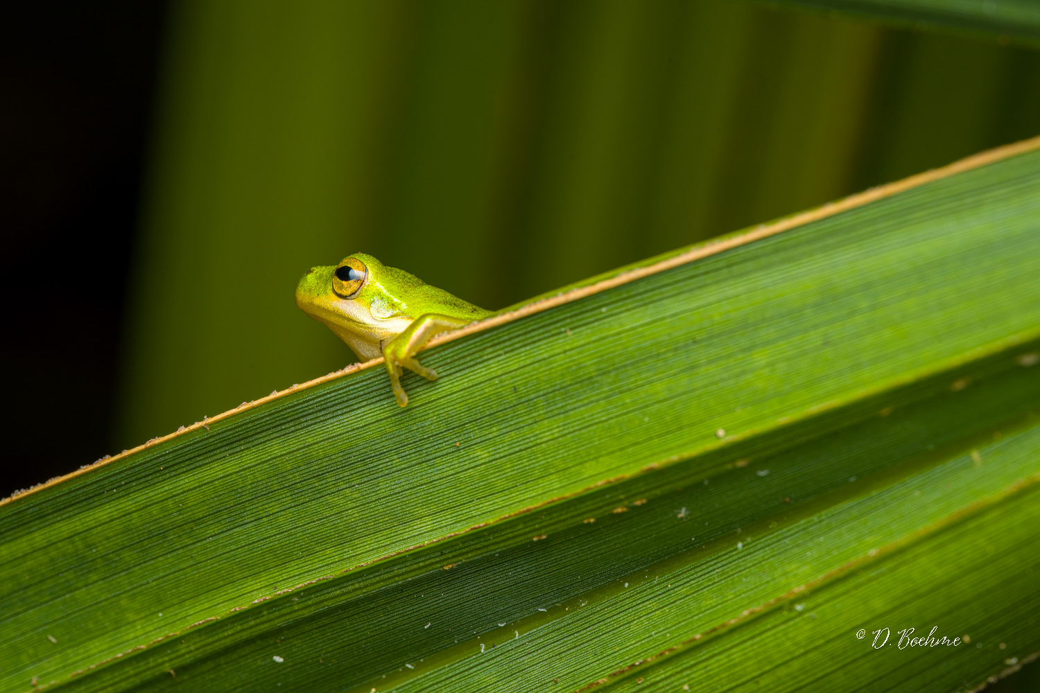 _DSC8448-SharpenAI-Focus-2.jpg