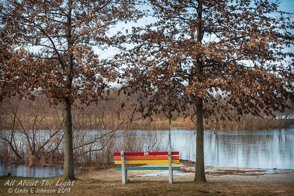 _DSC8585 low res.jpg