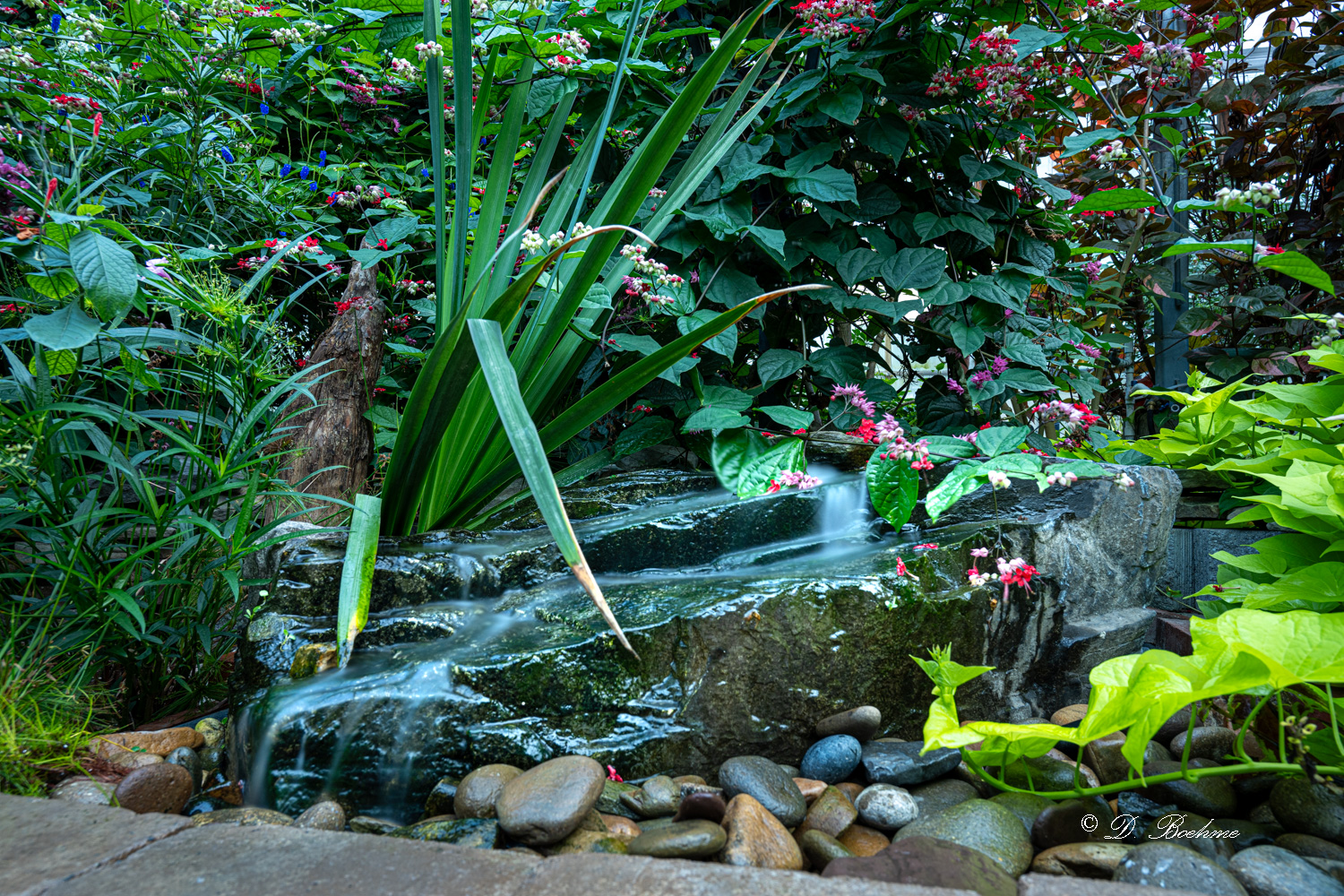 _DSC8795.jpg