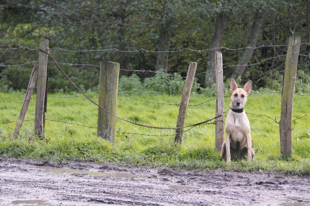 _DSC8797.jpg