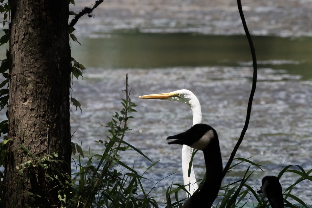 _DSC8800-Edit.jpg
