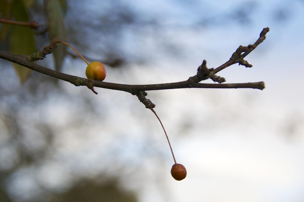 _DSC8819.jpg