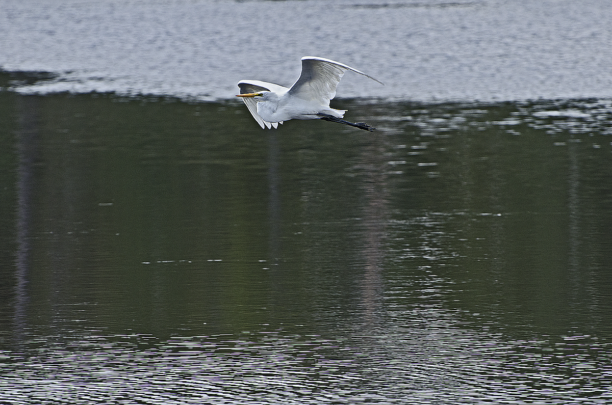 _DSC8879.jpg