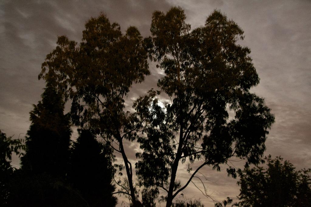 _DSC8885.jpg