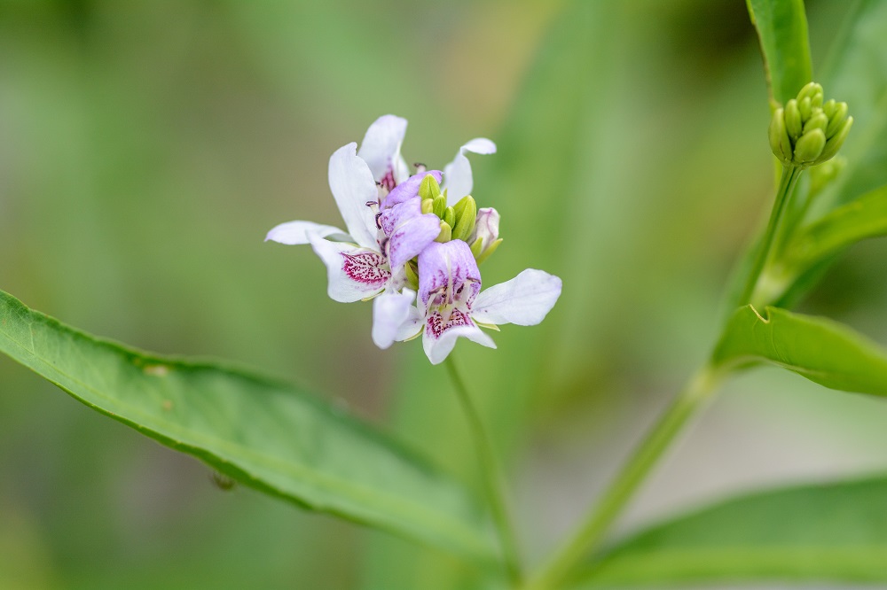 _DSC8974-Edit.jpg