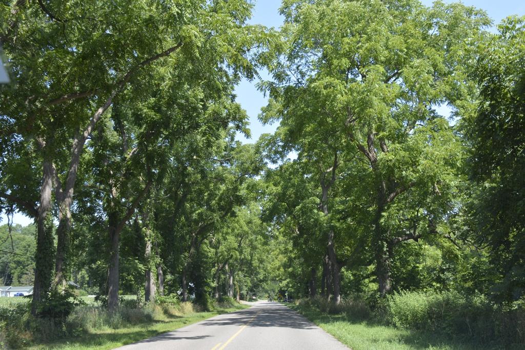 _DSC9004.jpg