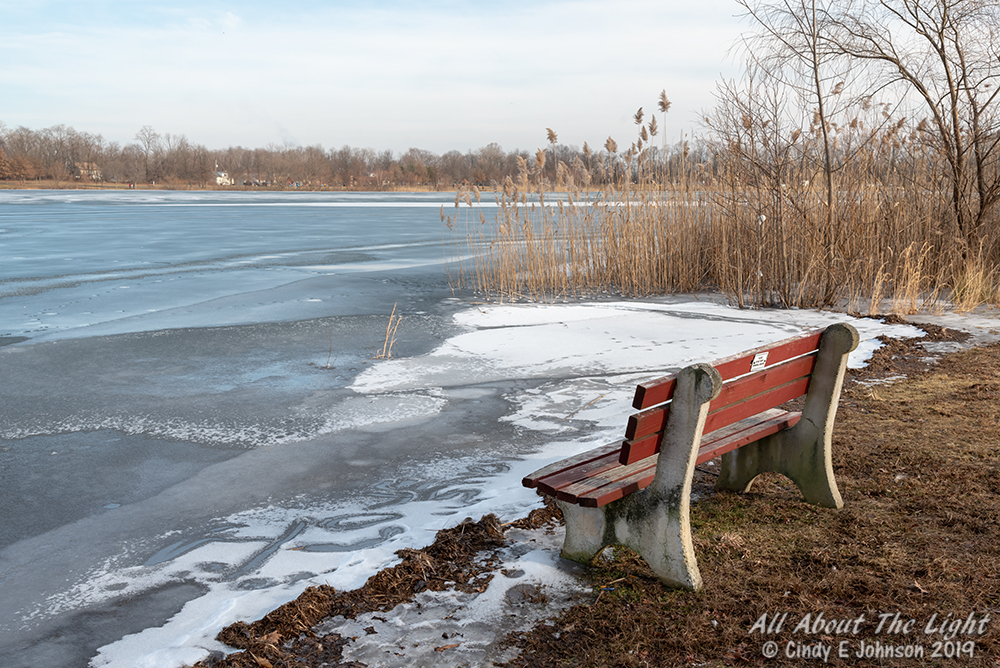 _DSC9008 low res.jpg