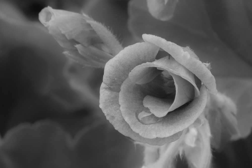 _DSC9013-Edit.jpg
