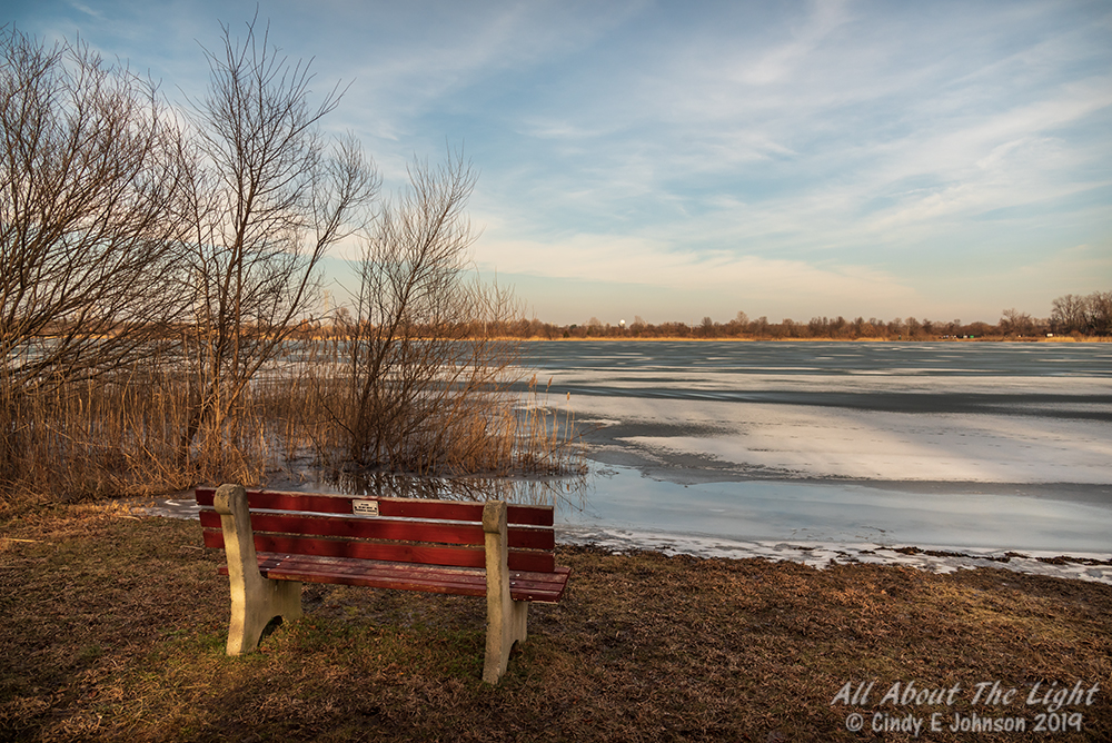 _DSC9021 low res.jpg