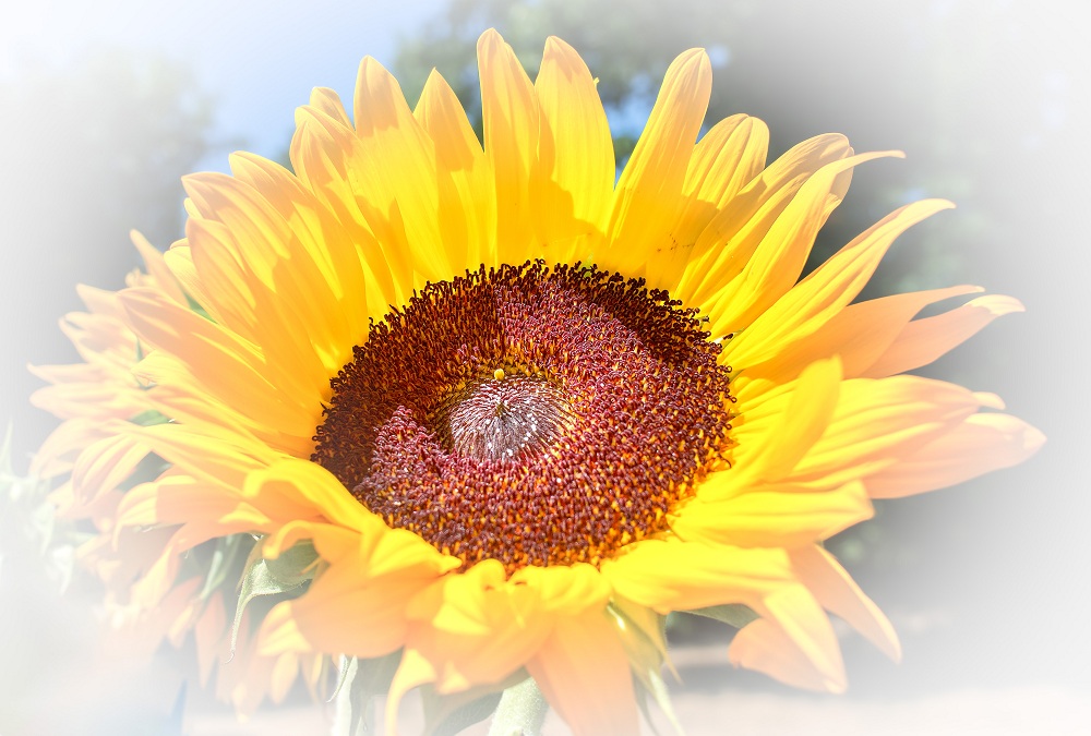 _DSC9187-Edit-Edit-Edit-Edit.jpg
