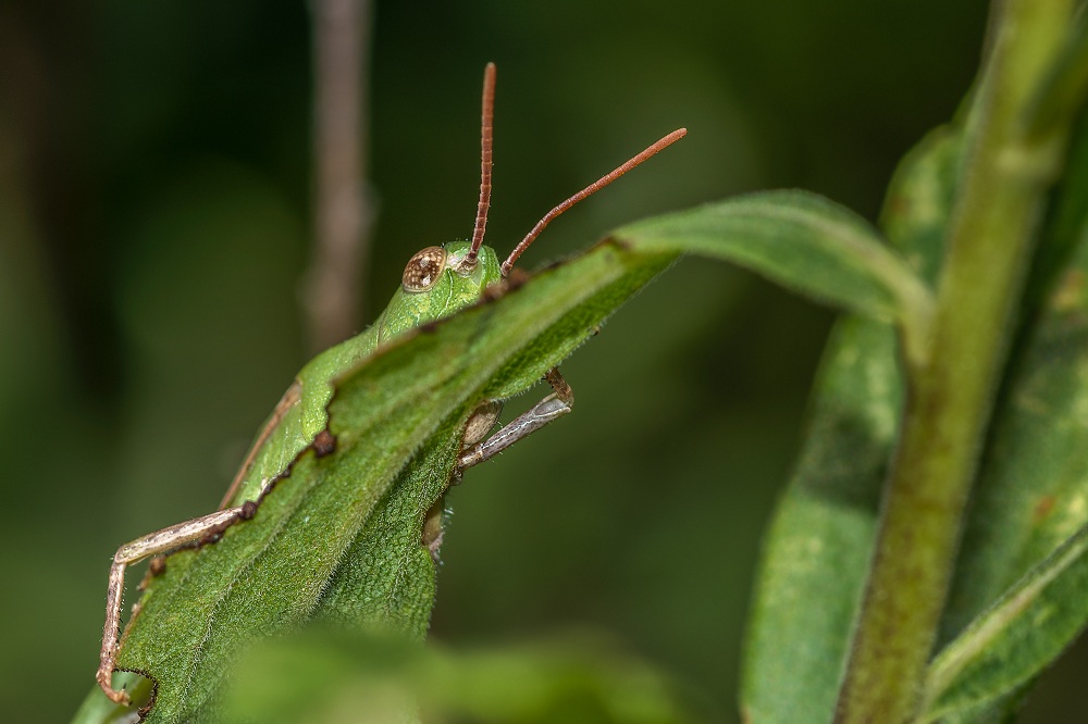 _DSC9223-Edit.jpg