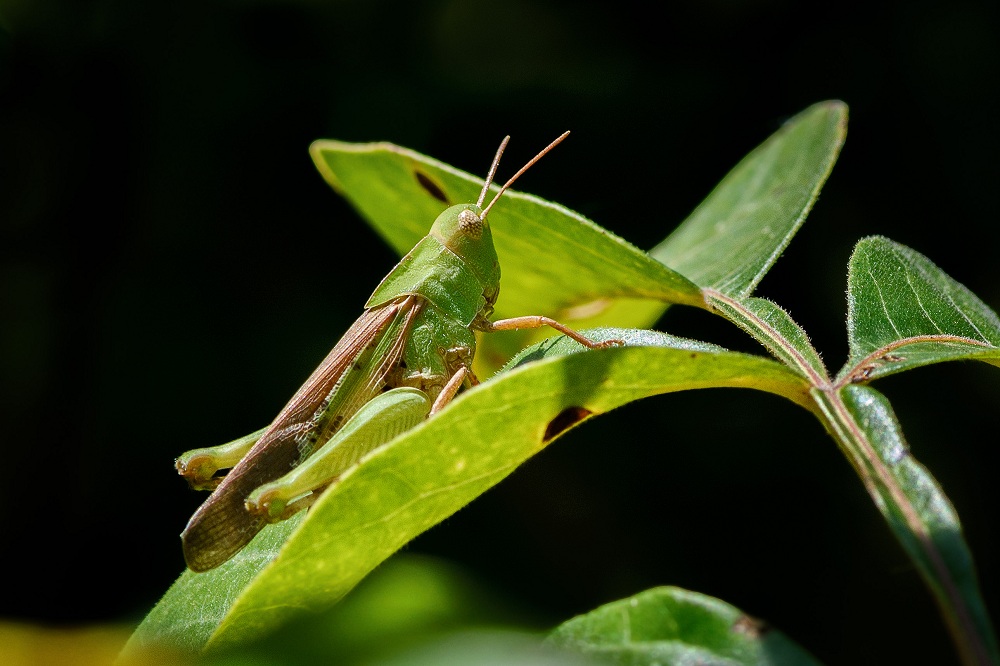 _DSC9228-Edit.jpg