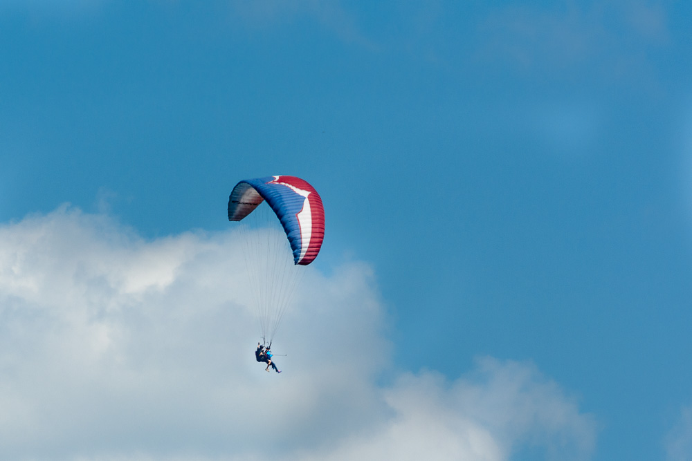 _DSC9232.jpg