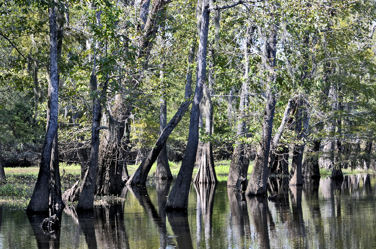_DSC9247.jpg