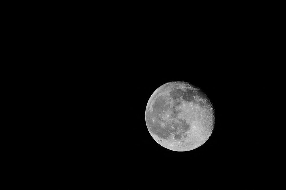 _DSC9253.jpg