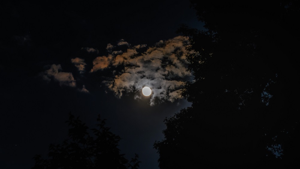 _DSC9272-Edit.jpg