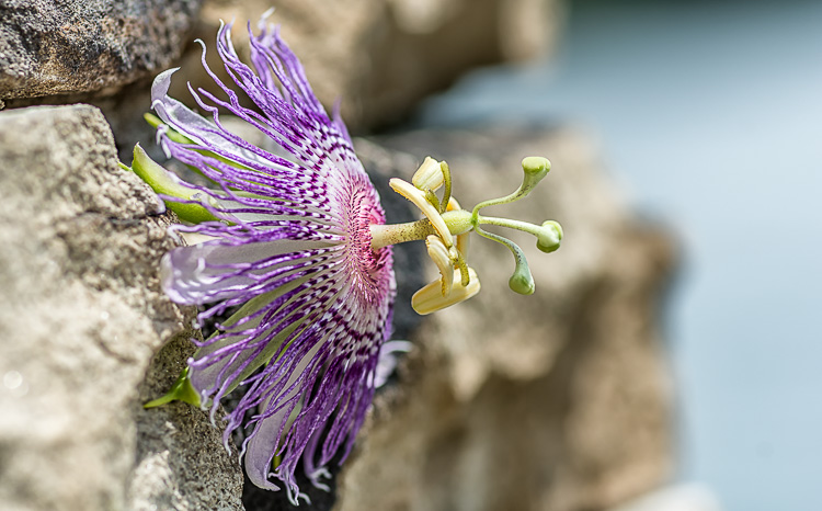 _DSC9289-Edit.jpg