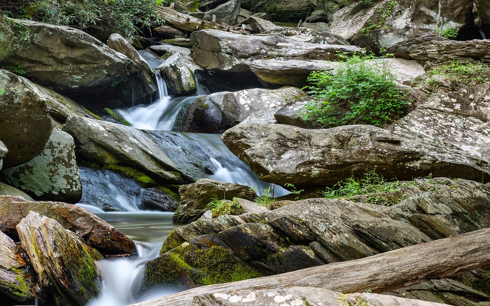 _DSC9324-Edit.jpg