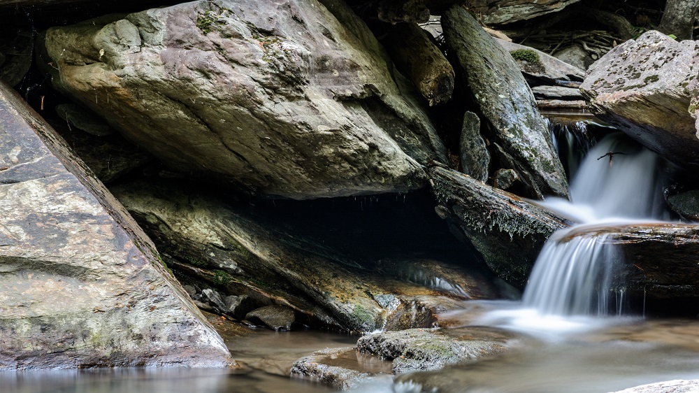 _DSC9325.jpg