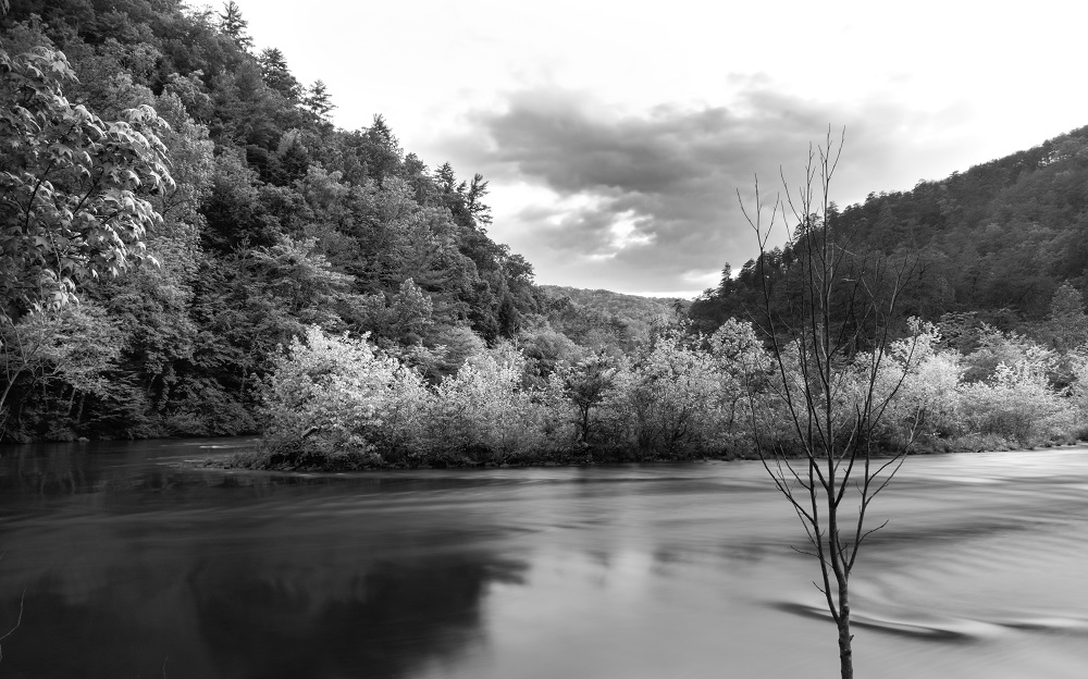 _DSC9333-Edit-2.jpg