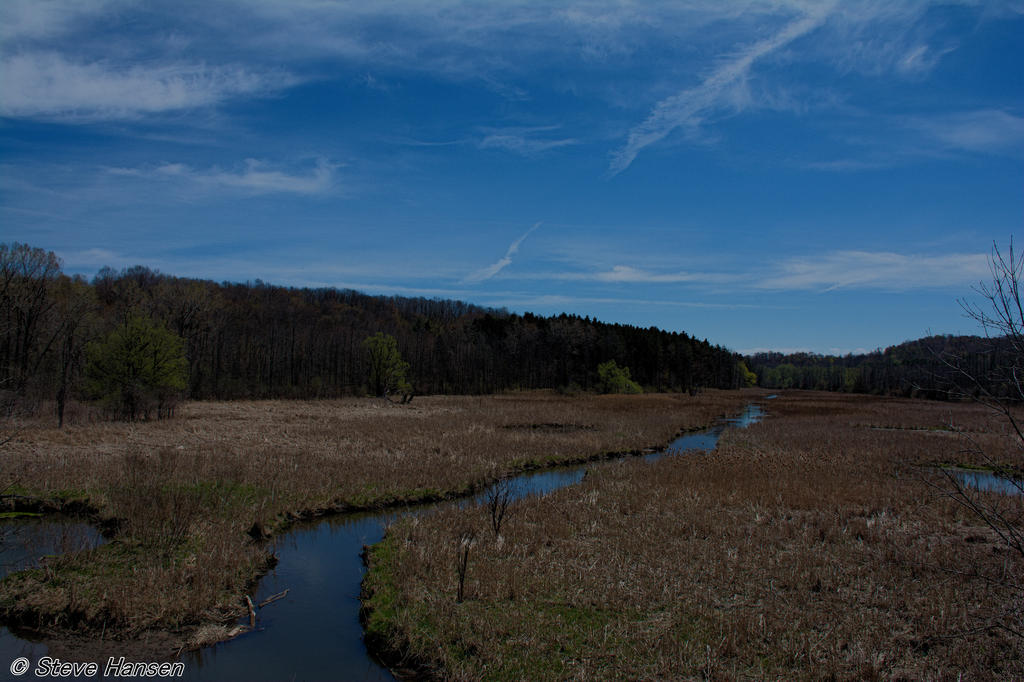 _DSC9366.jpg