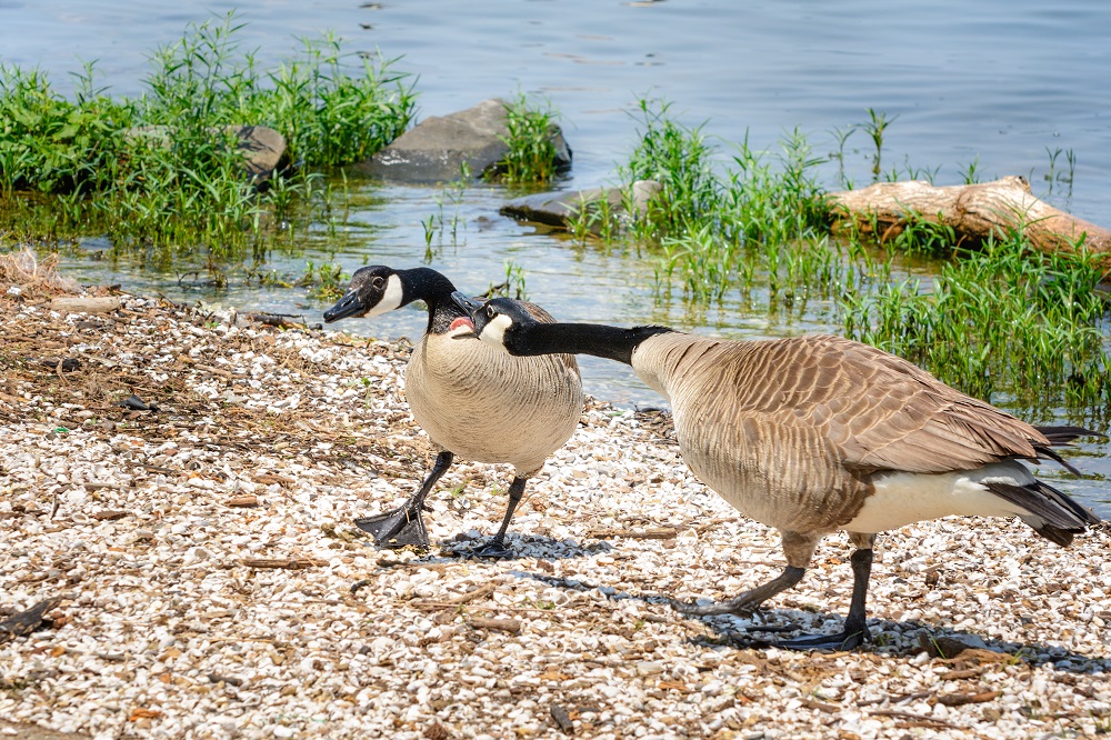 _DSC9418-Edit.jpg