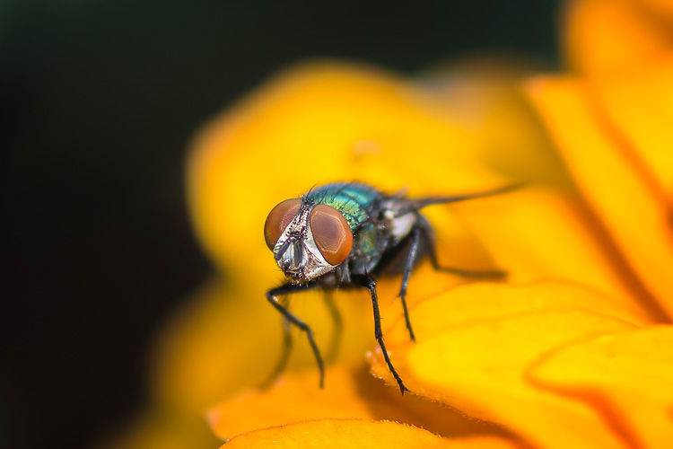 _DSC9422-Edit.jpg