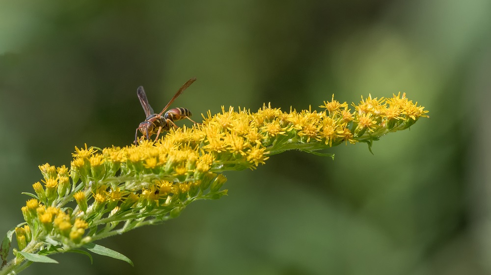 _DSC9444-Edit-2.jpg