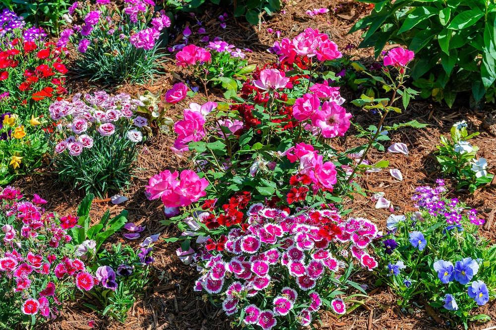 _DSC9472-Edit-2.jpg