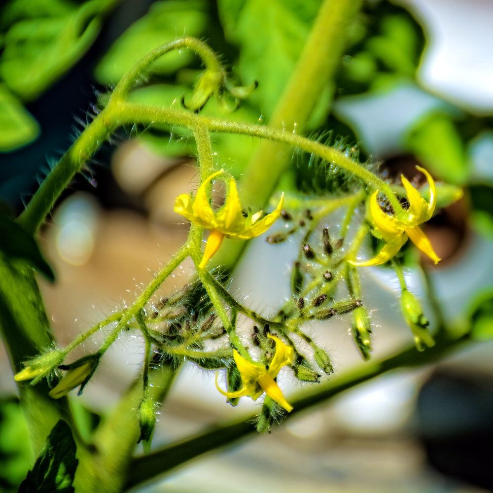 _DSC9479-Edit.jpg