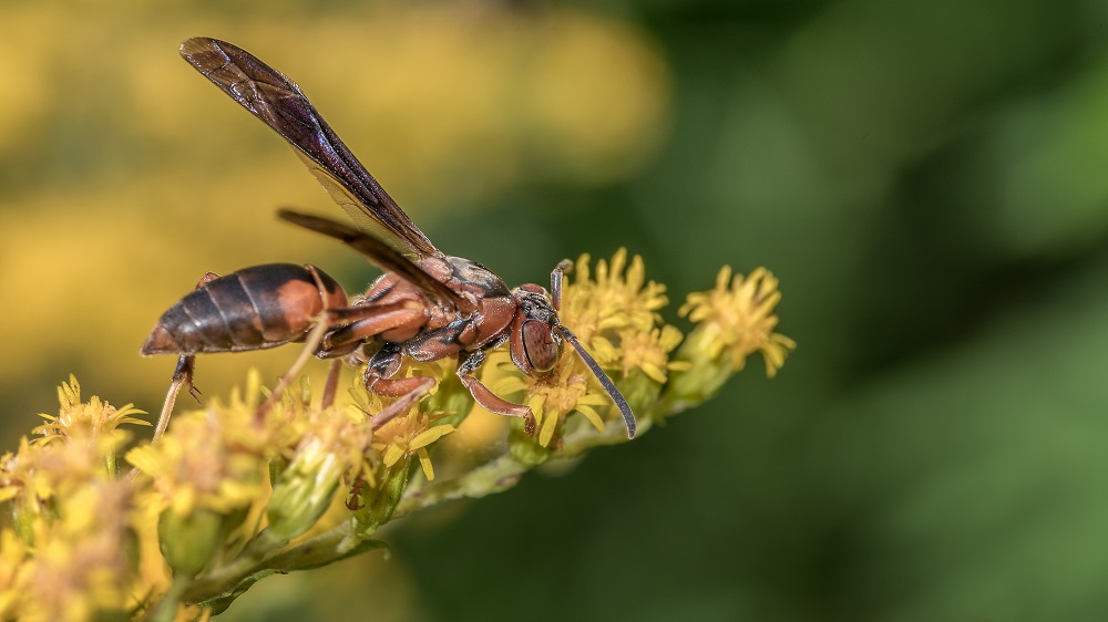 _DSC9499-Edit-2.jpg