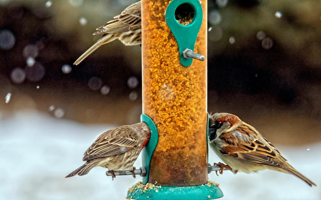 _DSC9561-Edit.jpg