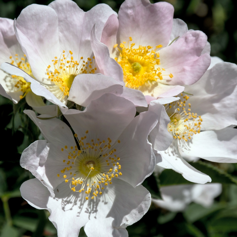 _DSC9619.jpg