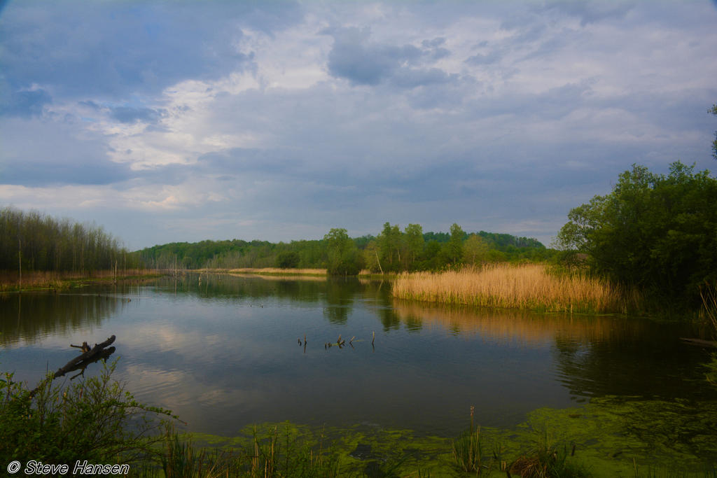 _DSC9632.jpg