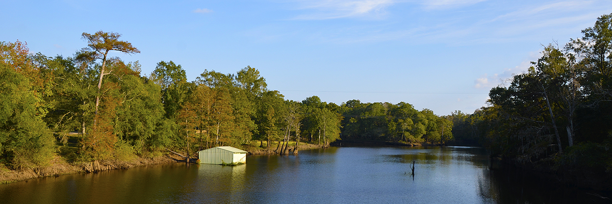 _DSC9640.jpg