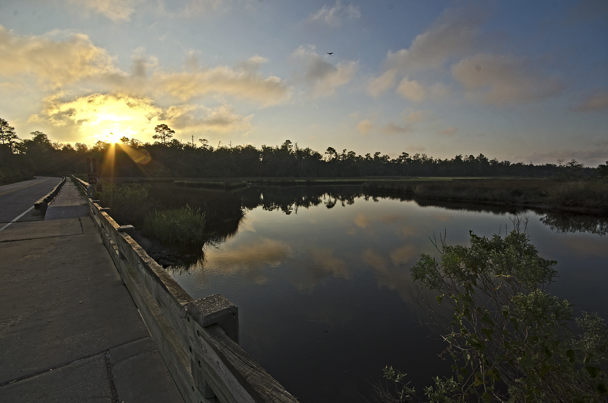 _DSC9663_2.jpg
